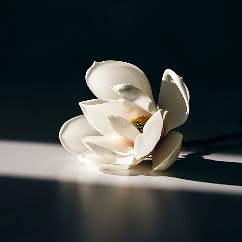 Coco Gauff Addresses Negative Comments on Her Appearance After Social Media Hiatus