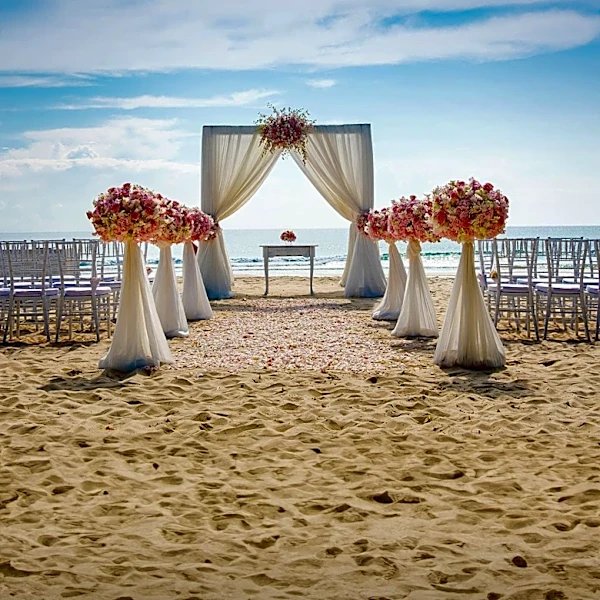 Cape Cod Hosts Wedding Showcase and Art Fundraiser This Weekend