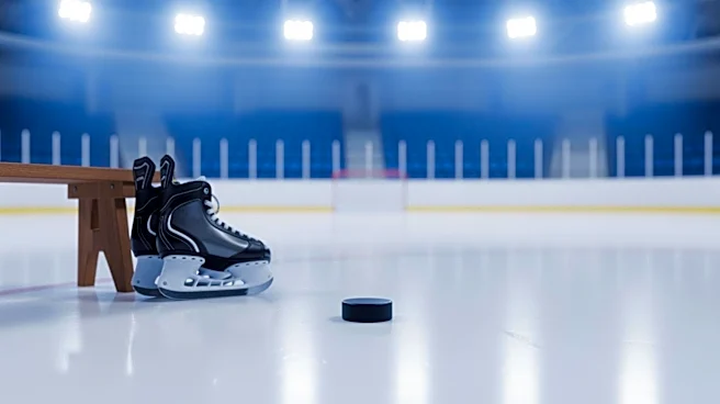 NHL and NHLPA Initiatives Expand Youth Hockey Access with Record Participation