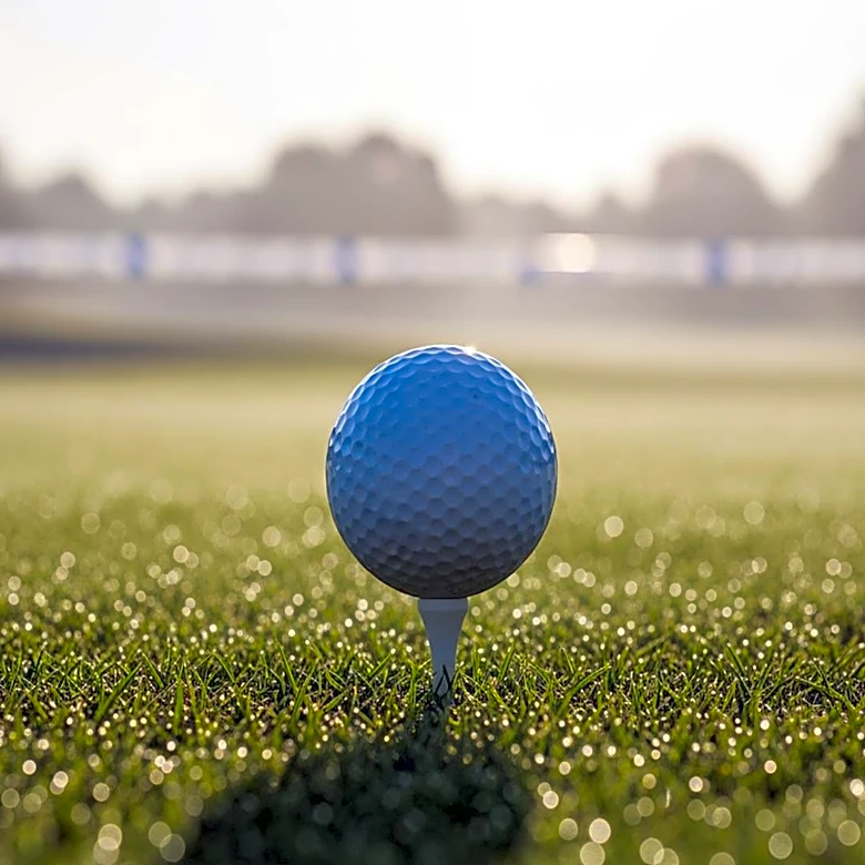 Justin Rose Secures Masters Cut Amid Challenging Conditions