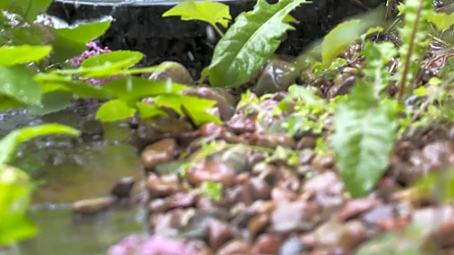 Patrick the Handyman Offers Tips for Maintaining Gutters During April Showers