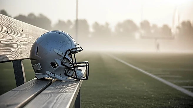 Minnesota Gophers' Robert Vaihola to Transfer After Injury-Shortened Season