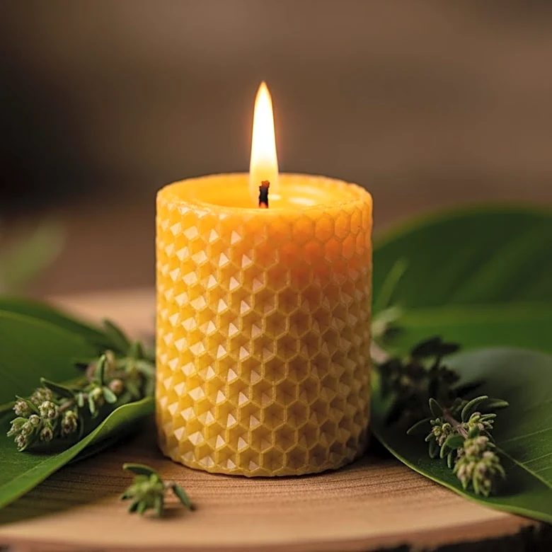 Minot Candles Emphasizes Sustainability in Business Practices