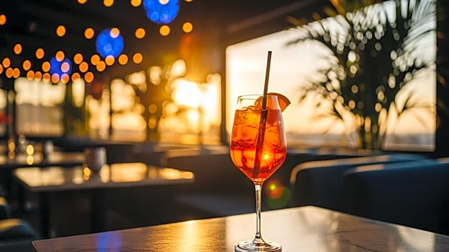 Joe Jonas Hosts Surprise Party at Aperol Day Club During Coachella