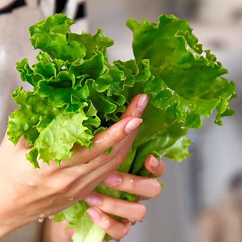 Experts Warn Against Risks of Consuming Bagged Lettuce