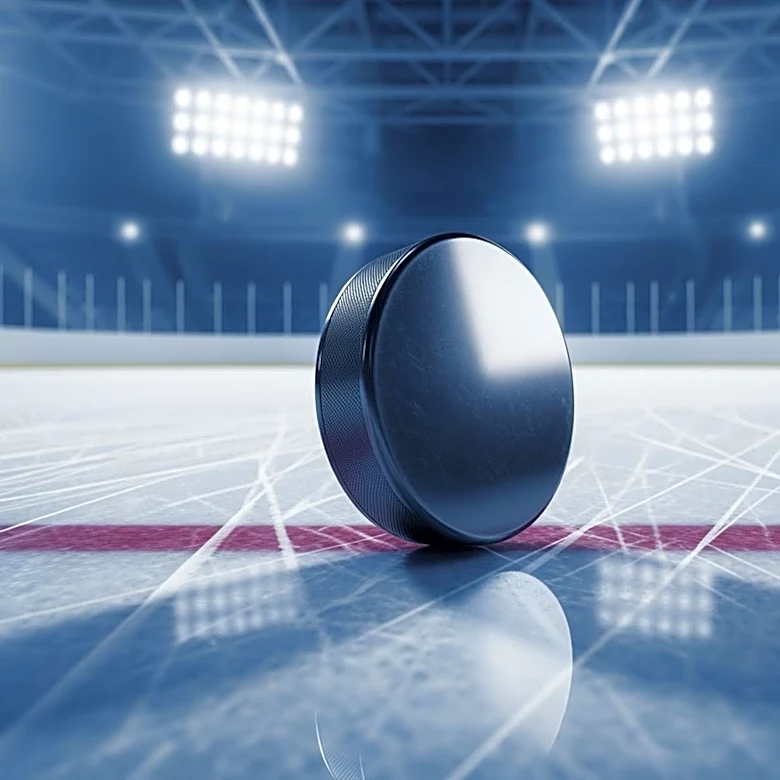 Emil Lilleberg's Late Goal Secures Lightning Victory Over Bruins