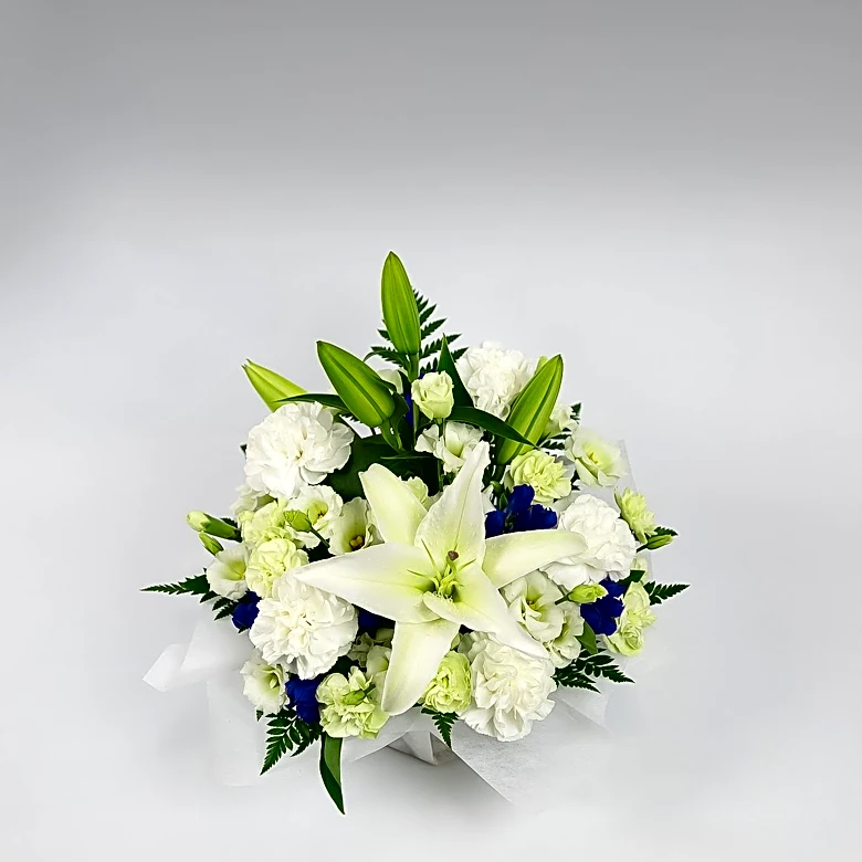 Judith Hagen-Kovarik's Passing and Memorial Arrangements Announced