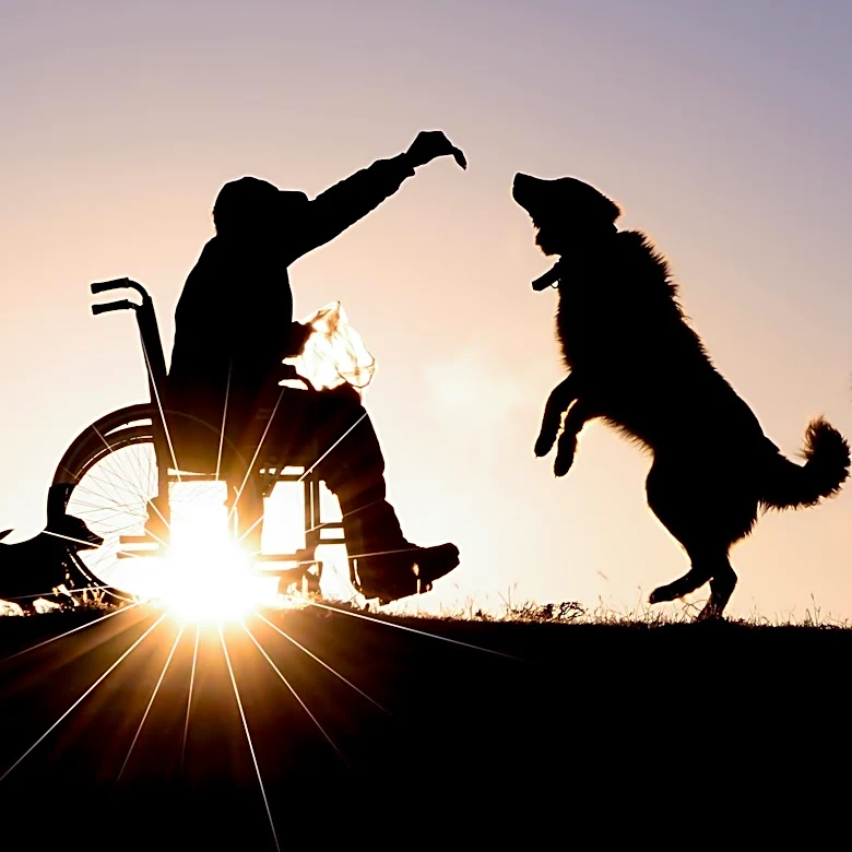 Gold Star Spouse's Journey of Healing and Resilience Through Service Dogs