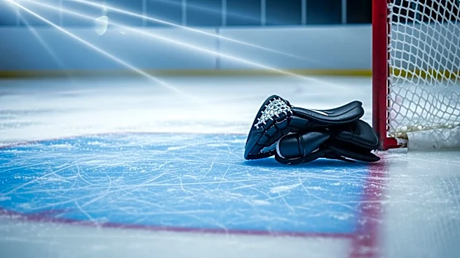 Jeremy Swayman Makes Crucial Save Against Gage Goncalves in NHL Game