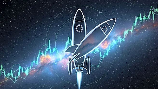 SpaceX's Upcoming IPO Could Become a Meme Stock Phenomenon, Analysts Warn