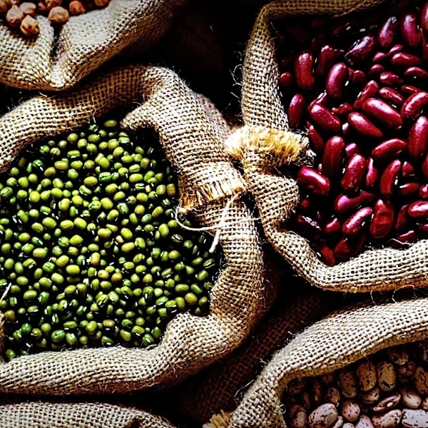 Study Reveals Proteins Linked to Longevity in Centenarians