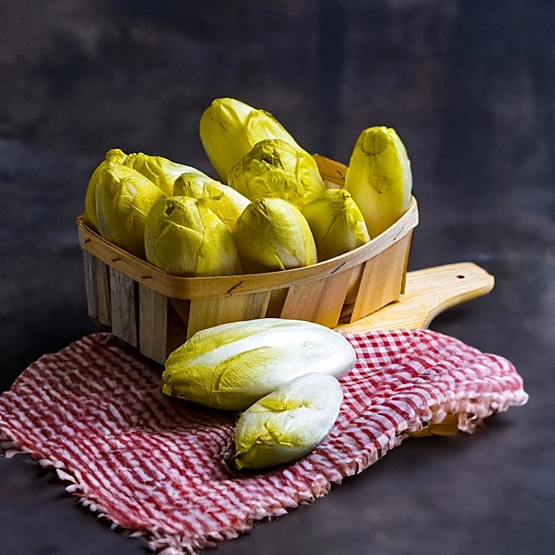 Air Jordan 14 'Graphite Chartreuse' Set for 2027 Reissue After 22 Years