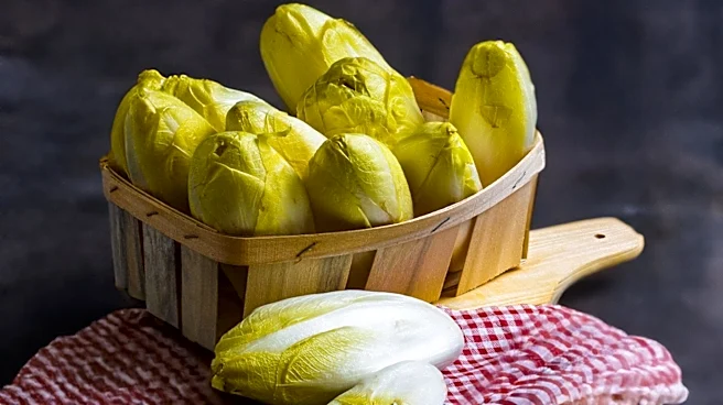 Air Jordan 14 'Graphite Chartreuse' Set for 2027 Reissue After 22 Years