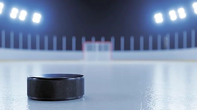 Ottawa Senators vs. New York Islanders: Condensed Game Recap