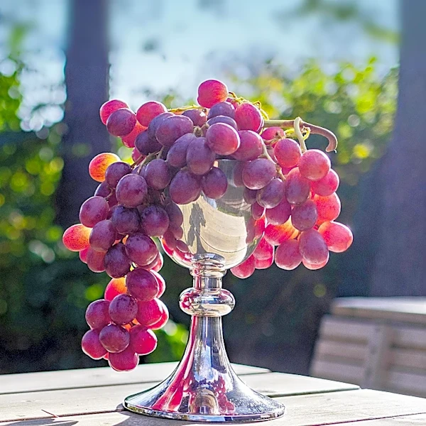 Taste of East Sacramento Celebrates 16th Year with Local Cuisine and Wine