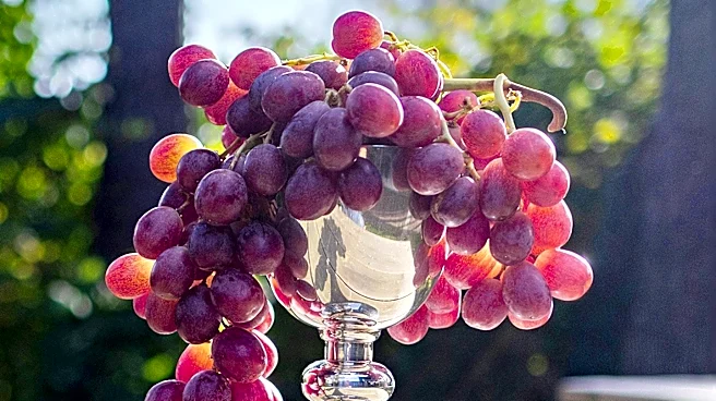 Taste of East Sacramento Celebrates 16th Year with Local Cuisine and Wine