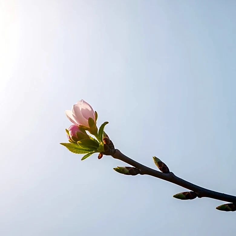 Georgie Harris from 'Love on the Spectrum' Announces New Relationship Post-Split