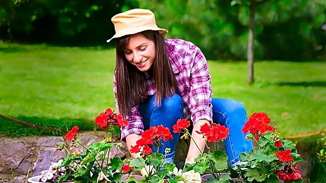 Marlene Simon Returns to Answer Plant and Garden Queries on CBS News
