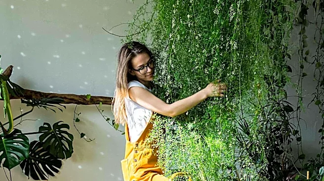 Marlene The Plant Lady Engages Viewers with Plant Advice on CBS News