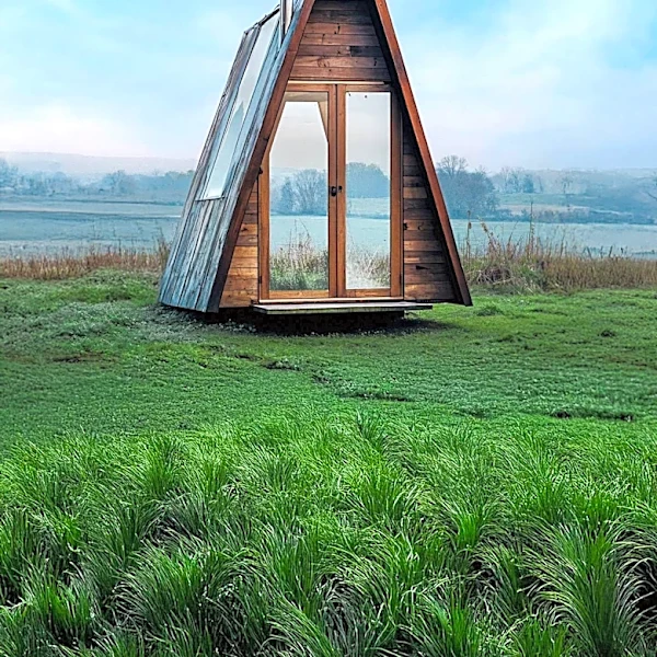 Gen X Tech Salesman Builds DIY Tiny Home, Aims for Airbnb Success