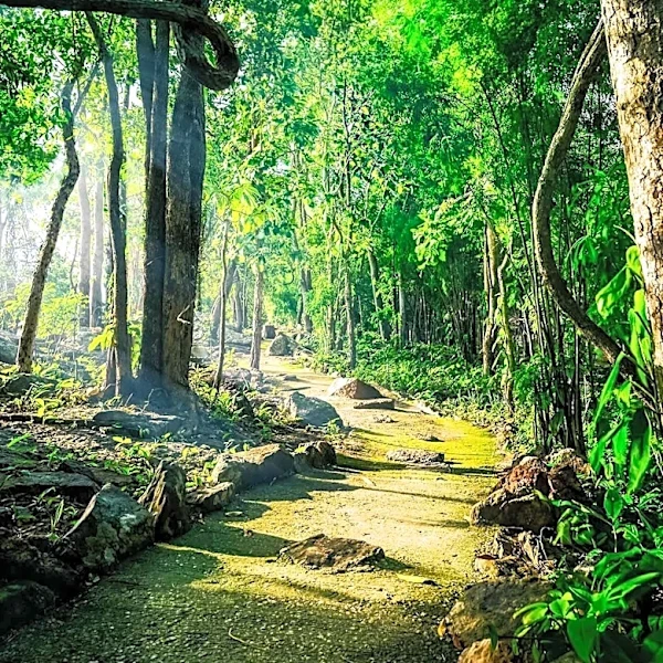 Huntsville, Alabama: A Growing Haven for Nature Enthusiasts