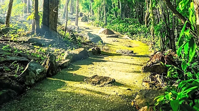 Huntsville, Alabama: A Growing Haven for Nature Enthusiasts