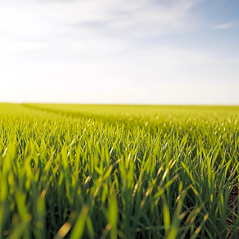 Top Agriculture Stocks to Watch: Deere, Corteva, and Bunge