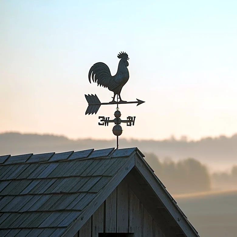 'Rooster' Episode 6 Sees Return of Alan Ruck's Character, Impacting Danielle Deadwyler's Role