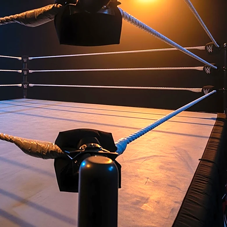 WWE Faces Criticism Over WrestleMania 42 Matchups, Fans Disappointed