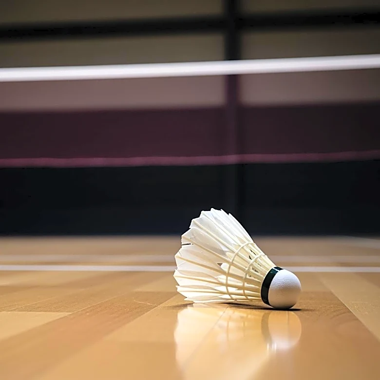 Ayush Shetty Faces Defeat in Badminton Asia Championship Final Against Shi Yu Qi
