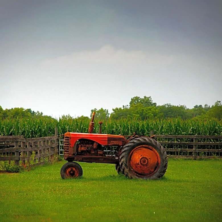 Kane County Farm Bureau Event Connects Visitors with Rural Life