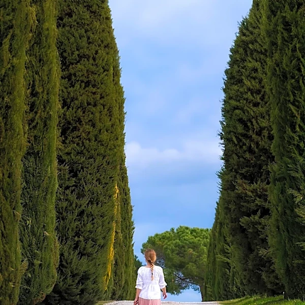 Internet Discovers 'Tuscan Dad' as Male Counterpart to Viral Trend