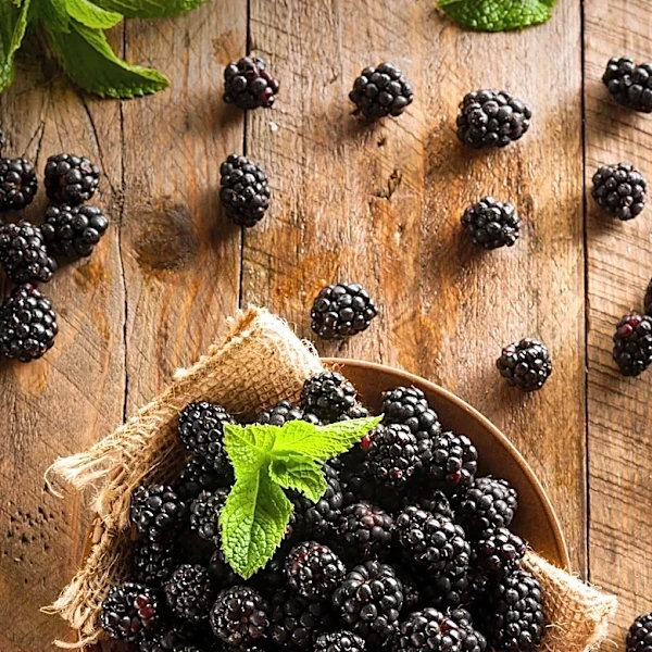 Blackberries Highlighted for Their Health Benefits in Skin and Memory Improvement
