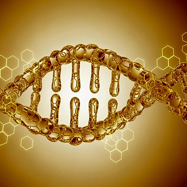 Next Generation Sequencing Methods Proposed for Honey Authentication