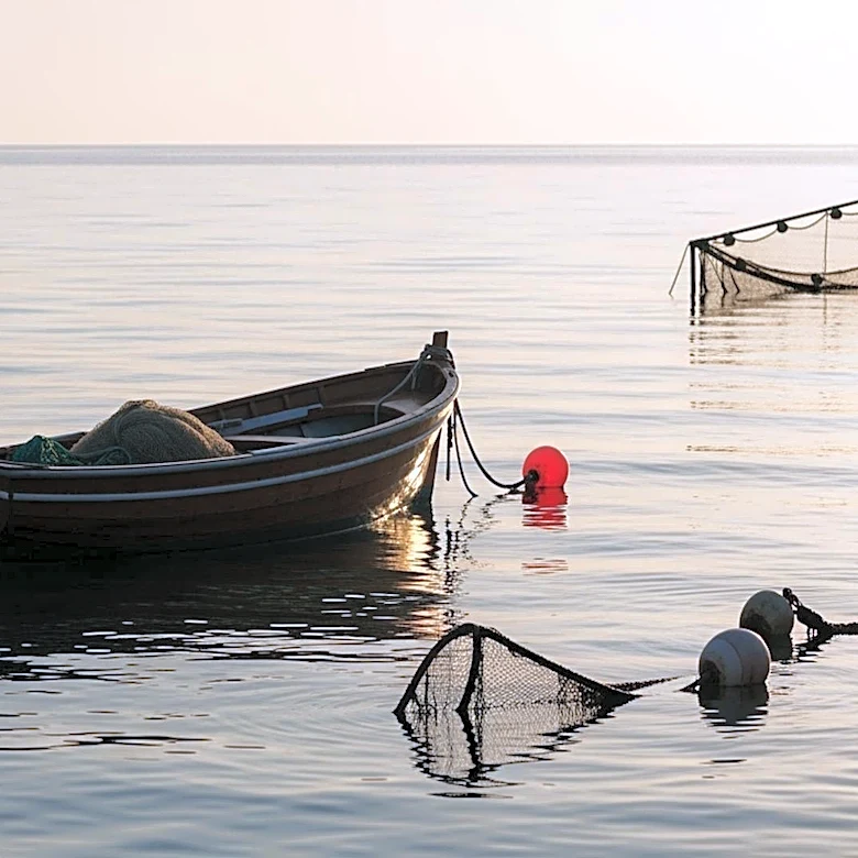 Paramount+ Launches Reality Series 'Meet The Fishers' Featuring Big John