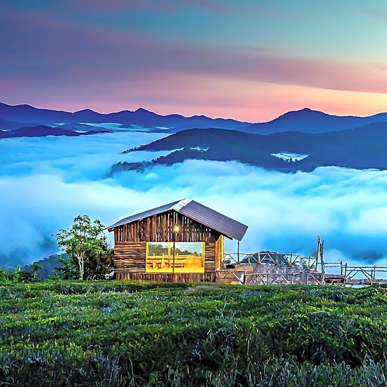 Three Little Bears Retreat to Open as Safari-Style Mountain Escape in Smokies