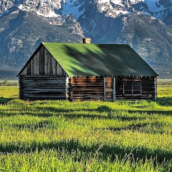 Rocky Mountain Cabin Offers Unique Nature Immersion Experience