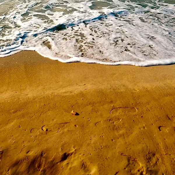 Evanston Beach Passes Available for Purchase Ahead of Summer Season