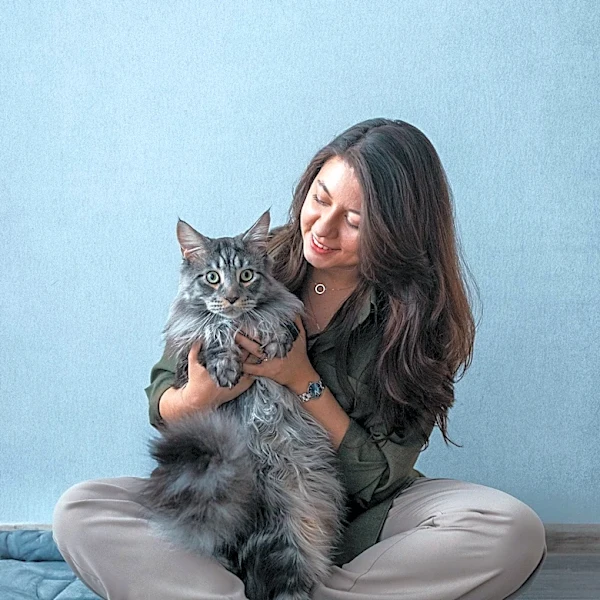 Foster Cat Overcomes Fear with Help from Companion Cat in Viral TikTok Video