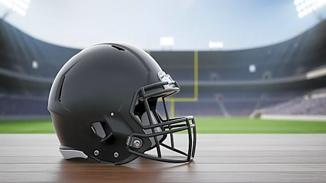 Ohio State's Carnell Tate Emerges as Top NFL Draft Prospect