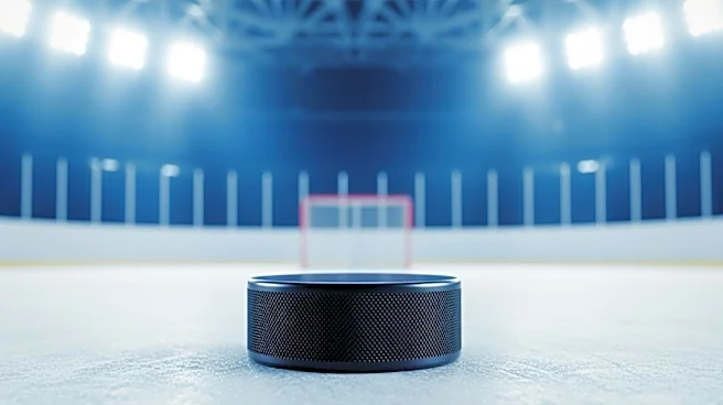 Carolina Hurricanes Recall Joel Nystrom for Depth in Season Finale