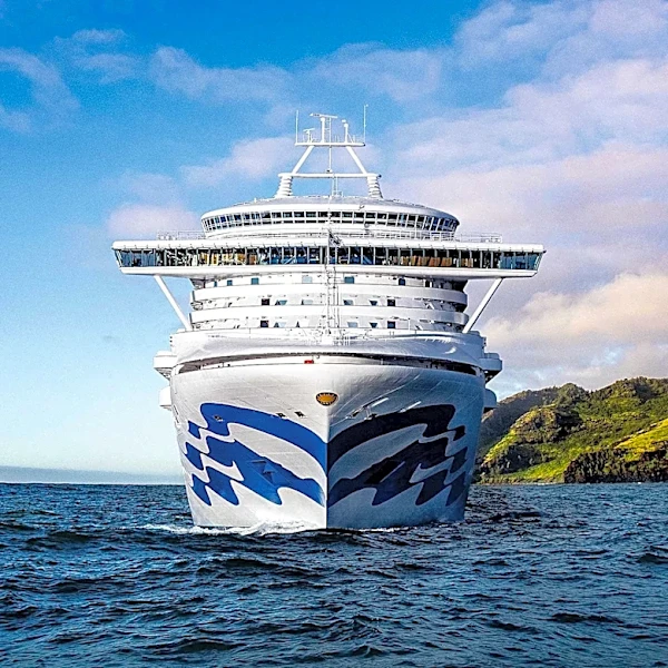 Disney Cruise Passenger Criticizes New Ship Experience Due to Operational Issues