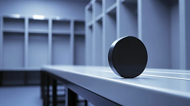 Michigan State Hockey Players Enter Transfer Portal Amid Team Changes