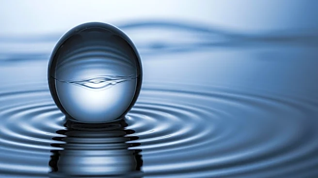 Kraken Files for IPO Amidst Valuation Drop and Market Volatility