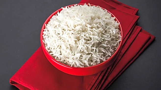 Experts Share Safe Practices for Storing and Repurposing Leftover Rice