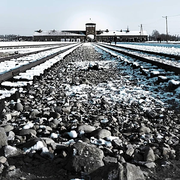 Bruch Brothers Endow $360,000 for Olami Trips to Poland to Promote Jewish Heritage