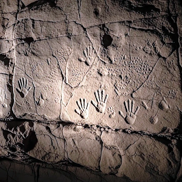 Werner Herzog's 'Cave of Forgotten Dreams' Returns in IMAX