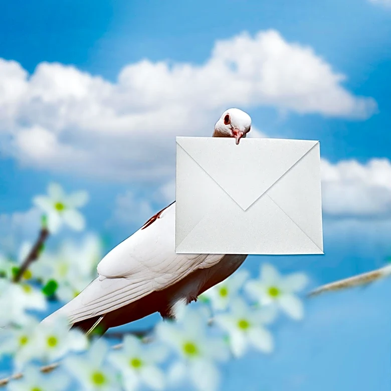 Dove Highlights Algorithmic Influence on Beauty Standards with 'The Beauty Machine'