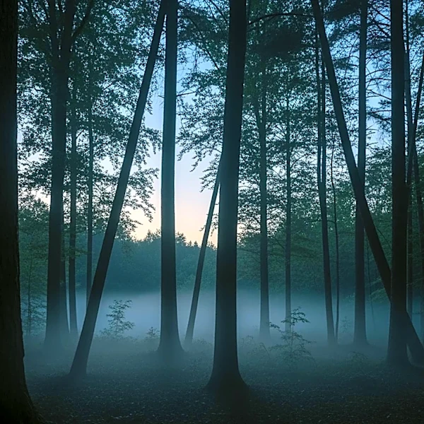 Nicolas Cage to Star in New 'Longlegs' Sequel Directed by Osgood Perkins