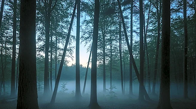 Nicolas Cage to Star in New 'Longlegs' Sequel Directed by Osgood Perkins